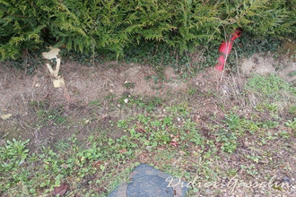  terrain st-hilaire-sur-erre 61340