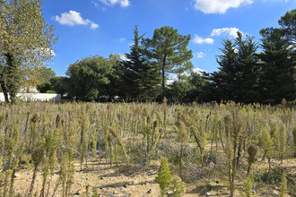  terrain st-jean-de-mts 85160