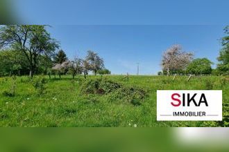  terrain st-jean-kourtzerode 57370