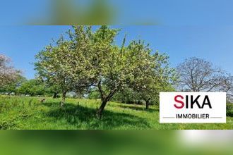  terrain st-jean-kourtzerode 57370