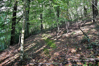  terrain st-jean-les-deux-jumeaux 77660