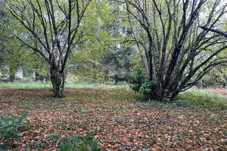  terrain st-julien-le-petit 87460