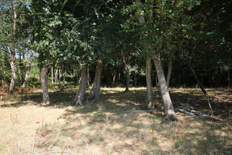  terrain st-just-luzac 17320