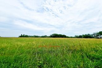  terrain st-leon-sur-vezere 24290