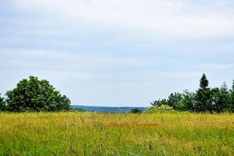  terrain st-leon-sur-vezere 24290