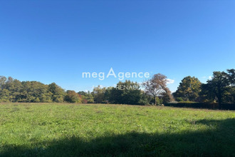  terrain st-leon-sur-vezere 24290