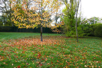  terrain st-lieux-les-lavaur 81500