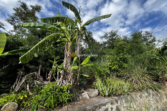  terrain st-louis 97421