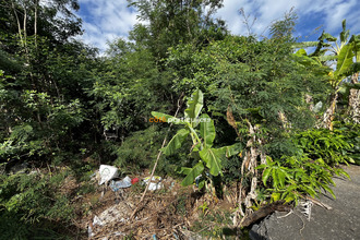  terrain st-louis 97421