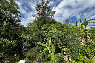  terrain st-louis 97421