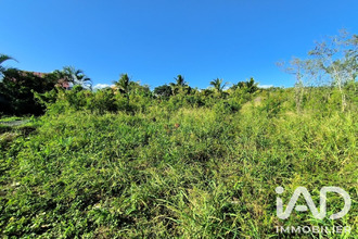  terrain st-louis 97450
