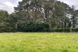  terrain st-lyphard 44410