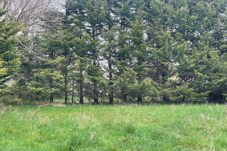  terrain st-lyphard 44410