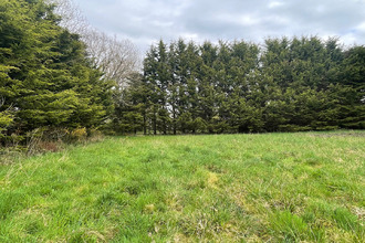  terrain st-lyphard 44410