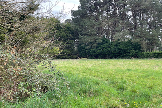  terrain st-lyphard 44410