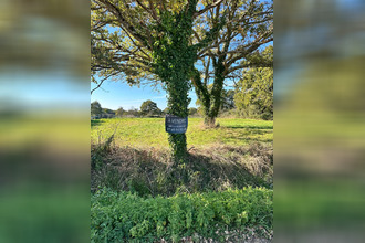  terrain st-lyphard 44410