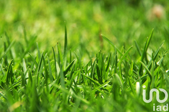  terrain st-magne-de-castillon 33350