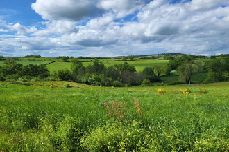  terrain st-marcel-de-felines 42122