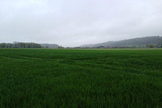  terrain st-mard-de-reno 61400