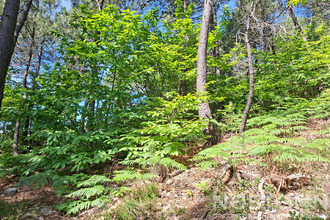  terrain st-martin-de-boubaux 48160