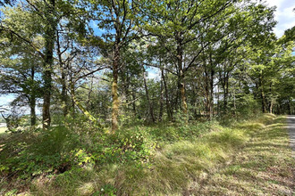  terrain st-martin-de-fressengeas 24800