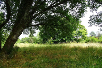 terrain st-medard-de-mussidan 24400