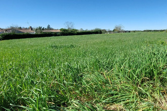  terrain st-michel-le-cloucq 85200