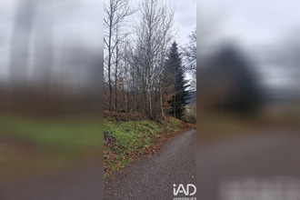  terrain st-nabord 88200