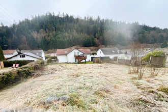  terrain st-nabord 88200