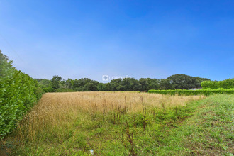  terrain st-nic 29550