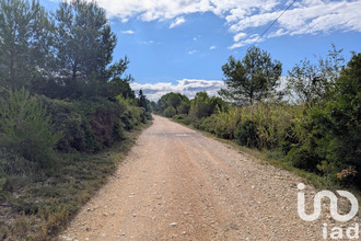  terrain st-pargoire 34230