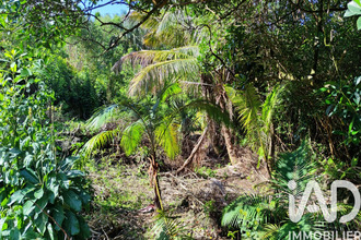  terrain st-philippe 97442