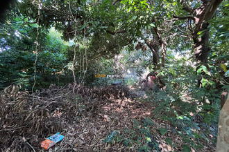  terrain st-pierre 97410