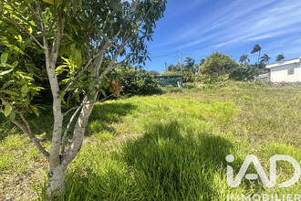  terrain st-pierre 97410