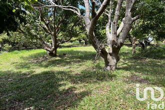  terrain st-pierre 97410