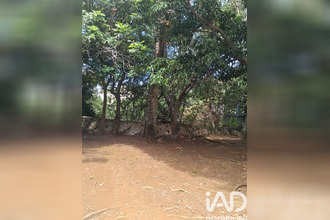  terrain st-pierre 97410