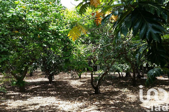  terrain st-pierre 97432