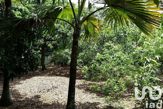  terrain st-pierre 97432