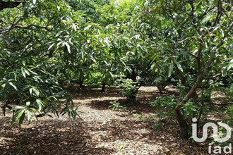  terrain st-pierre 97432