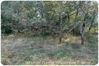  terrain st-pierre-de-cole 24800