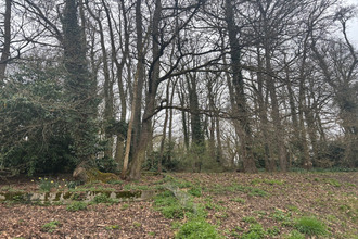  terrain st-pierre-les-nemours 77140