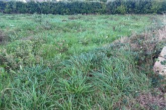  terrain st-pol-de-leon 29250