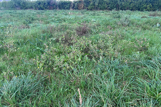  terrain st-pol-de-leon 29250