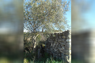  terrain st-pons-de-mauchiens 34230