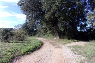  terrain st-pons-de-mauchiens 34230