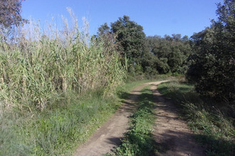  terrain st-pons-de-mauchiens 34230