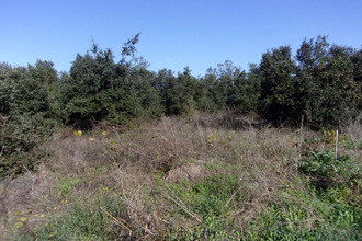  terrain st-pons-de-mauchiens 34230