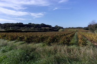  terrain st-pons-de-mauchiens 34230