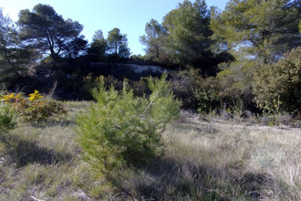  terrain st-pons-de-mauchiens 34230