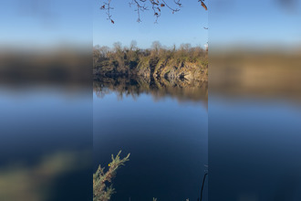  terrain st-sauveur-lendelin 50490